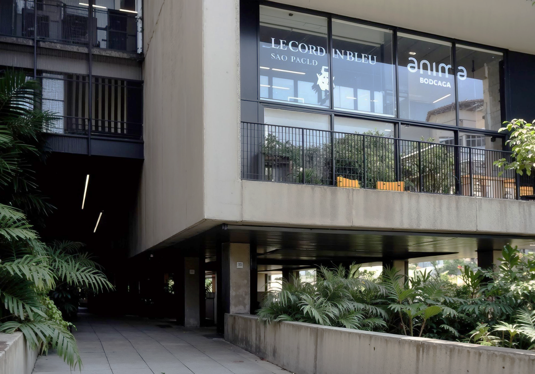 educacional - le cordon bleu 01